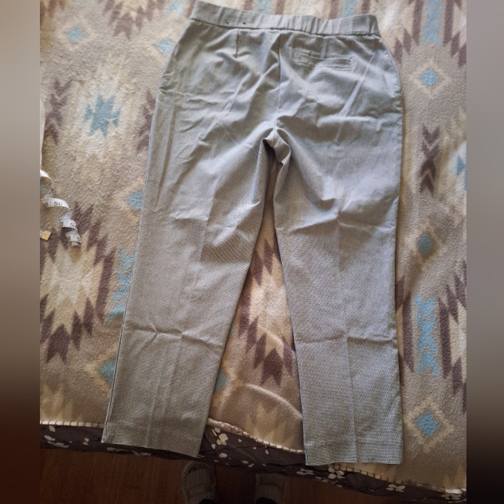 JL Jules & Leopold Ankle Pants - Picture 3 of 9